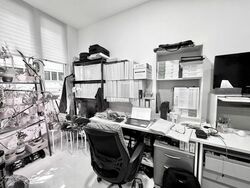 Icon@changi (D14), Shop House #451509351